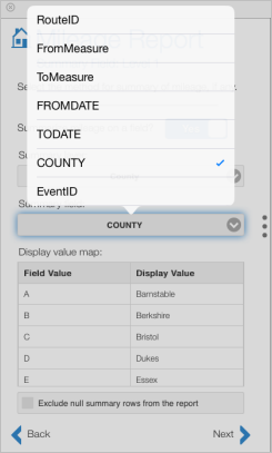 Choose the summary field Choose the summary field